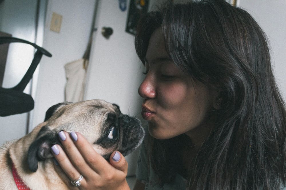 Dog with girl.