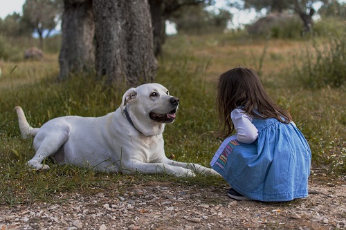 Dog and girl.