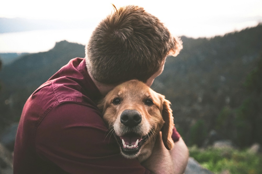 Dog with human.